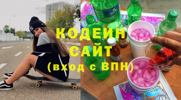 индика Верея