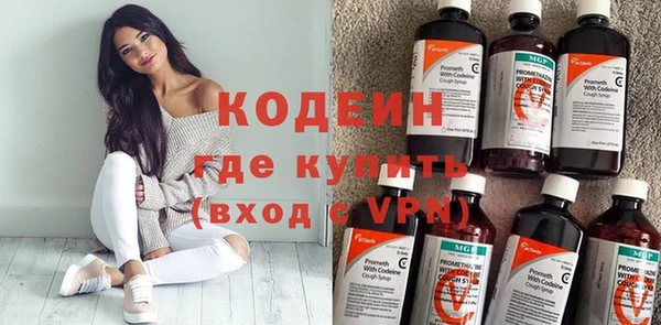 индика Верея