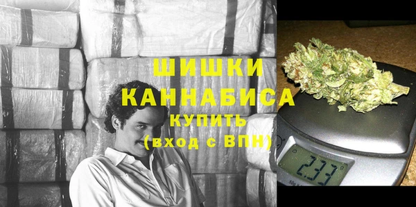 apvp Богданович