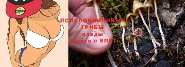 мет Бородино