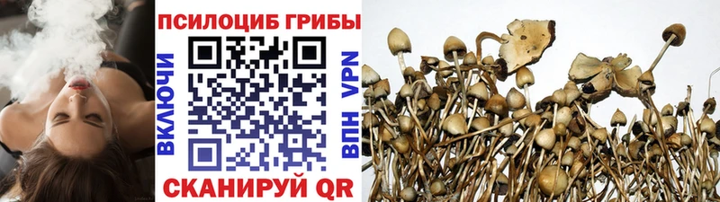 Галлюциногенные грибы Psilocybine cubensis  Купить закладки  Вяземский 